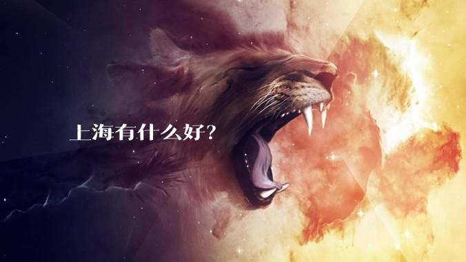 上海有什么好？