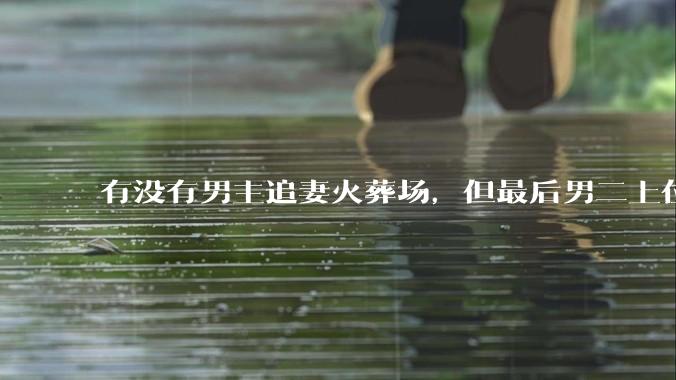 有没有男主追妻火葬场，但最后男二上位的***推荐？