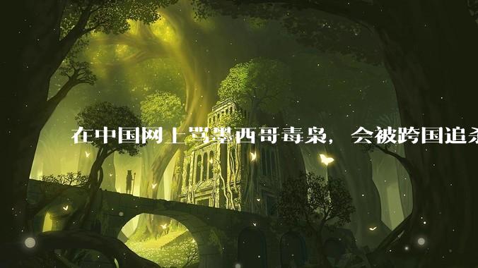 在中国网上骂墨西哥毒枭，会被跨国追杀吗？